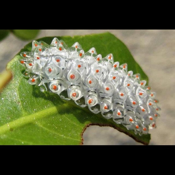 😍Bundle up your likes 😍 - Picture 3 of 16